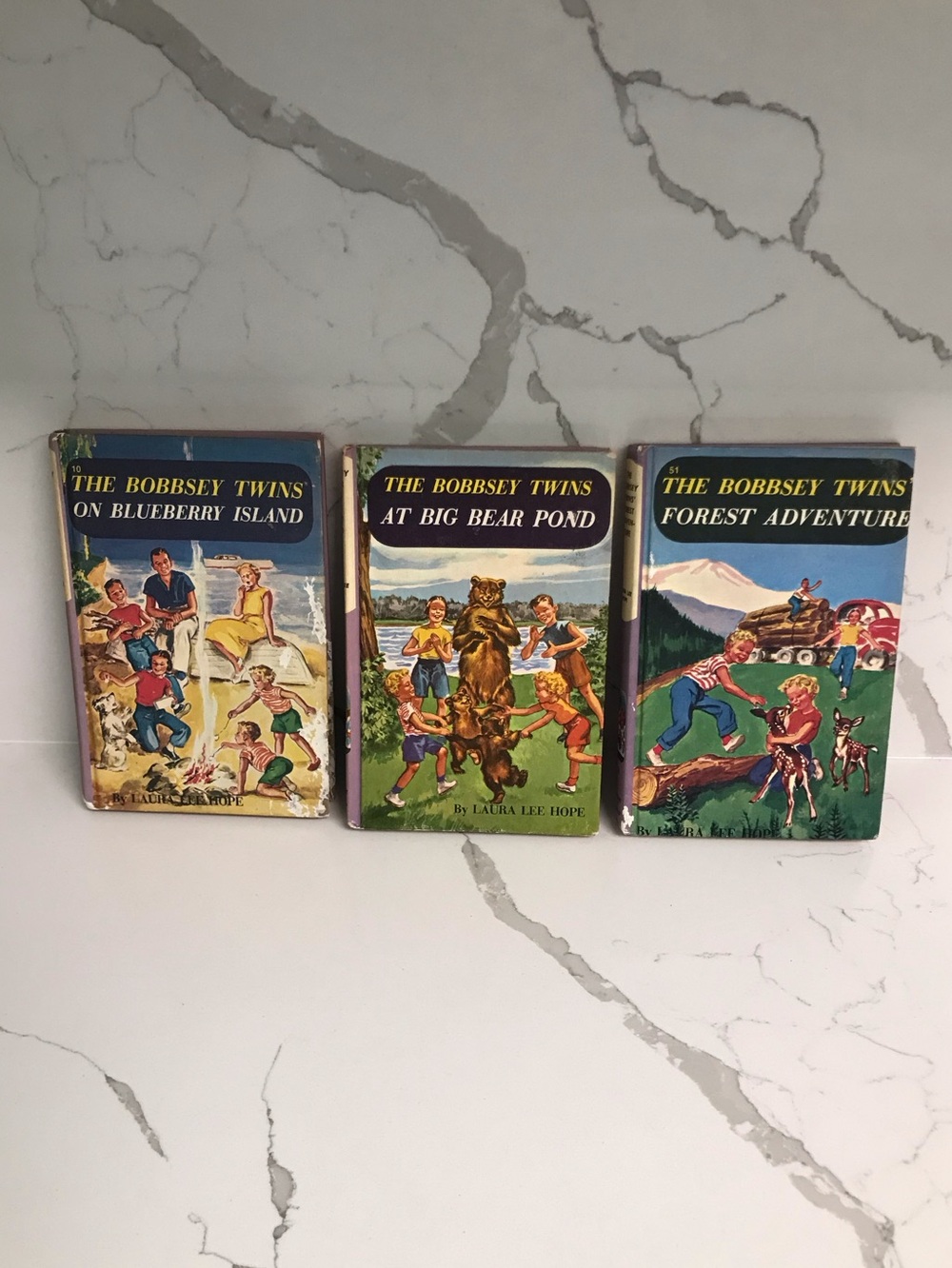 The Bobbsey Twins Vintage Hardback Books #10, 47 & 51
